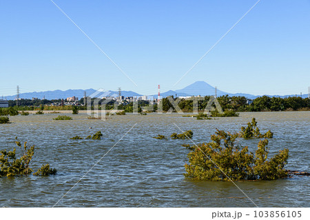 令和元年東日本台風・治水効果で水没した彩湖道満グリーンパーク(荒川) 令和元年東日本台風・治水効果で水没した彩湖道満グリーンパーク(荒川) 103856105