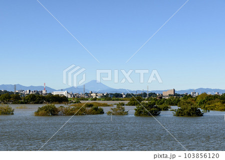 令和元年東日本台風・治水効果で水没した彩湖道満グリーンパーク（荒川） 103856120