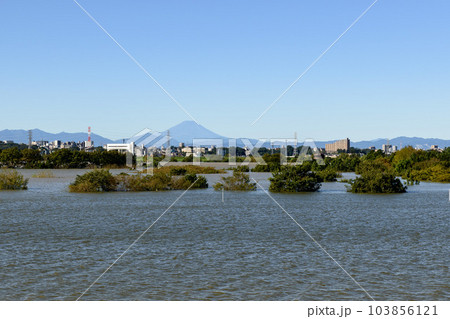 令和元年東日本台風・治水効果で水没した彩湖道満グリーンパーク(荒川) 令和元年東日本台風・治水効果で水没した彩湖道満グリーンパーク(荒川) 103856121
