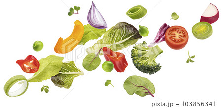 Falling vegetables, salad of bell pepper, tomato and lettuce leaves 103856341