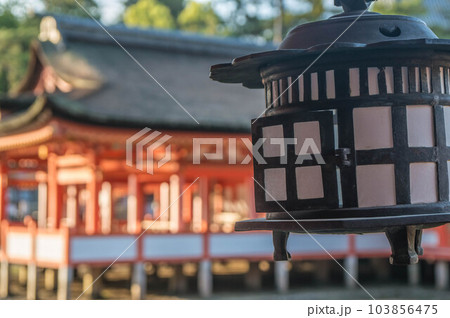 広島 厳島神社の夕日に照らされた美しい灯籠 103856475