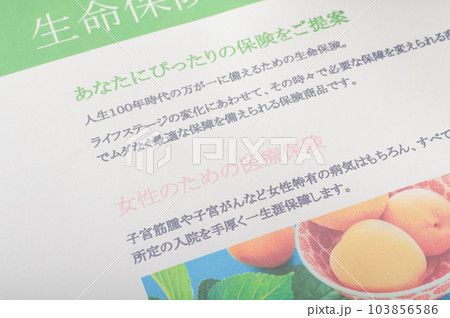 生命保険のチラシ 生命保険のチラシ 103856586