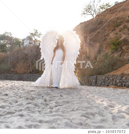 beautiful young woman with white wings. White angel 103857072