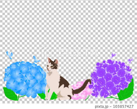 Hydrangea and kitten white background Hydrangea and kitten white background 103857427