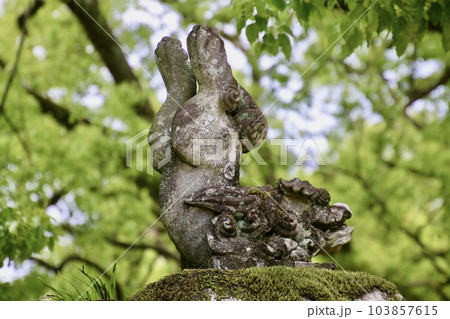 狛犬・太宰府天満宮（福岡県・太宰府市） 103857615