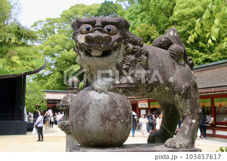 狛犬・太宰府天満宮(福岡県・太宰府市) 狛犬・太宰府天満宮(福岡県・太宰府市) 103857617