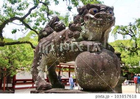 狛犬・太宰府天満宮（福岡県・太宰府市） 103857618