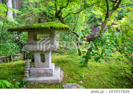 大谷寺　灯籠　弁天堂付近　宇都宮市 103857686