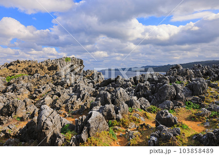 沖縄島最北端の地、辺戸岬 沖縄島最北端の地、辺戸岬 103858489