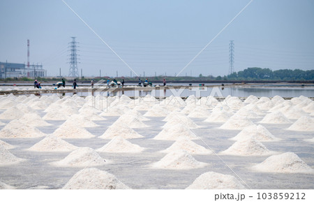 Sea salt farm in Thailand. Brine salt. Raw material of salt industrial. Sodium Chloride. Evaporation and crystallization of sea water. Worker working on a farm. Salt harvesting. Agriculture industry. 103859212