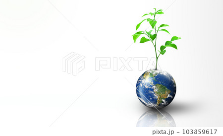 Plant growing on Earth. Isolated on white background. World Ecology, World Environment Day, World Earth Day, and Saving environment Concept. Image furnished by NASA. Plant growing on Earth. Isolated on white background. World Ecology, World Environment Day, World Earth Day, and Saving environment Concept. Image furnished by NASA. 103859617