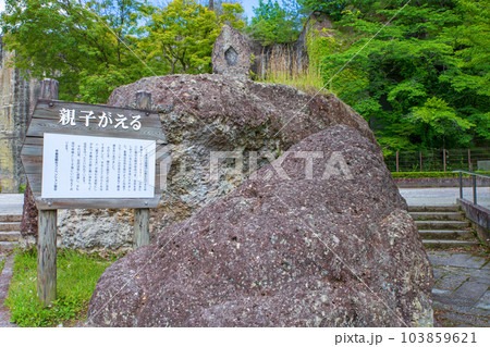 平和観音周辺 親子がえる 大谷公園 宇都宮市 平和観音周辺 親子がえる 大谷公園 宇都宮市 103859621