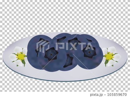 "Blueberry fruit" served on a plate White plate Floral pattern 103859670