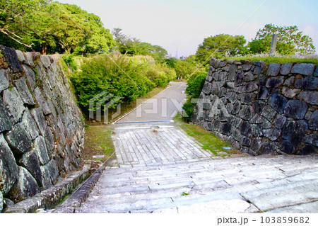 福岡城跡(福岡県・福岡市) 福岡城跡(福岡県・福岡市) 103859682
