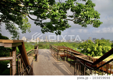 福岡城跡・石垣と市街地（福岡県・福岡市） 103859698