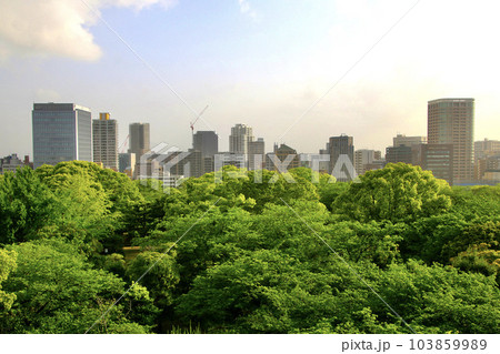 福岡城跡からの眺望(福岡県・福岡市) 福岡城跡からの眺望(福岡県・福岡市) 103859989