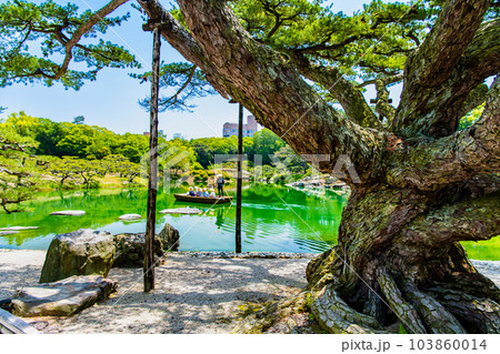 香川 栗林公園　～根上り五葉松～ 103860014
