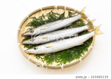 カマス カマス 103860139
