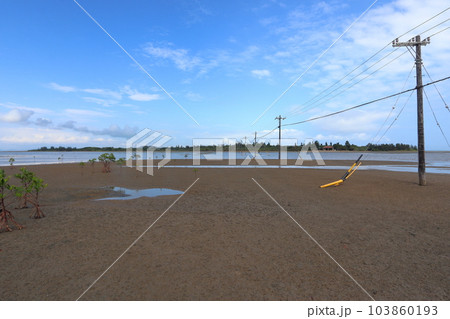 西表島から眺める由布島 103860193