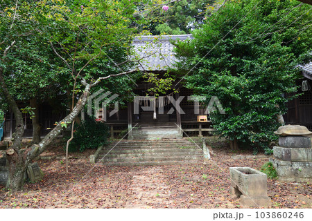 弘経寺(ぐぎょうじ)の彼岸花 #5 弘経寺(ぐぎょうじ)の彼岸花 #5 103860246