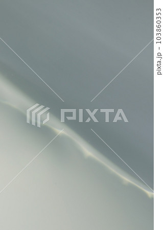 青ねず色の貝殻の斜め縫合（輪肋）線と断面テクスチャー（高倍率マクロ接写画像） 103860353