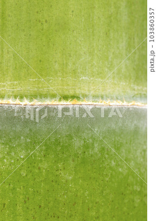 節を中心水平にして撮った青竹のテクスチャー(マクロ接写画像) 節を中心水平にして撮った青竹のテクスチャー(マクロ接写画像) 103860357