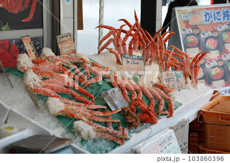 市場 マーケット 市 103860396