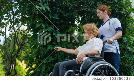 Caucasian female doctor walks with an elderly patient in a wheelchair in the park. Nurse accompanies an old woman on a walk outdoors.  103860538