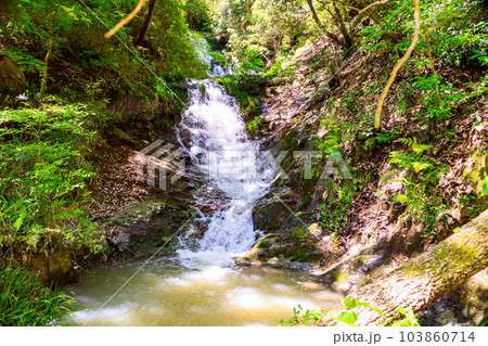 新緑の美しい滝｜太戸の滝 103860714