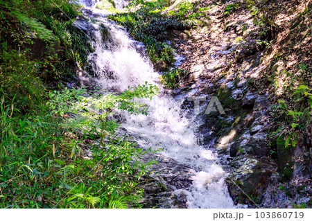 美しい新緑の季節の滝|太戸の滝 美しい新緑の季節の滝|太戸の滝 103860719