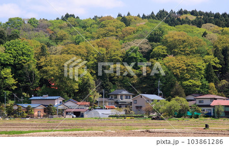 春の里山と民家の風景 103861286