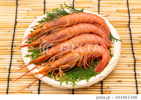 赤エビ 赤エビ 103861306