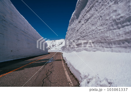 春の室堂名物雪の大谷ウォーク 103861337