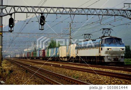 2001年　東海道線を走るEF66101コンテナ貨物列車 103861444