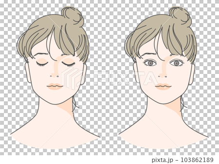 目を閉じた女性と目を開けた女性の顔 正面アップのイラストセット お団子ヘア アップヘア 目を閉じた女性と目を開けた女性の顔 正面アップのイラストセット お団子ヘア アップヘア 103862189