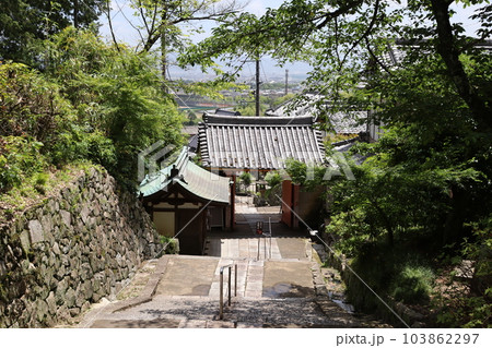 矢田寺 奈良県大和郡山市 近鉄奈良線 近鉄橿原線 梅雨 あじさい 紫陽花 あじさい寺 御朱印 矢田寺 奈良県大和郡山市 近鉄奈良線 近鉄橿原線 梅雨 あじさい 紫陽花 あじさい寺 御朱印 103862297