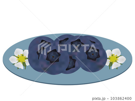 お皿に盛られた「ブルーベリーの実」皿  花柄 103862400