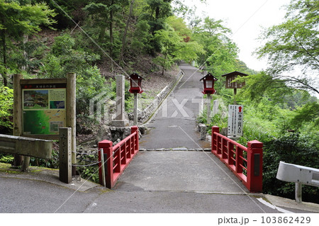 善峯寺 京都市西京区 東向日駅 阪急京都線 アジサイ 紫陽花 あじさい園 御朱印 梅雨 善峯寺 京都市西京区 東向日駅 阪急京都線 アジサイ 紫陽花 あじさい園 御朱印 梅雨 103862429