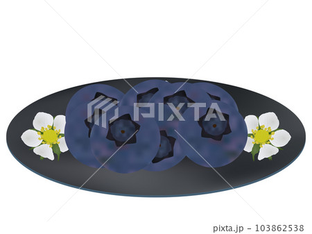 お皿に盛られた「ブルーベリーの実」青皿  花柄 103862538