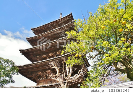 八坂の塔 八坂の塔 103863243