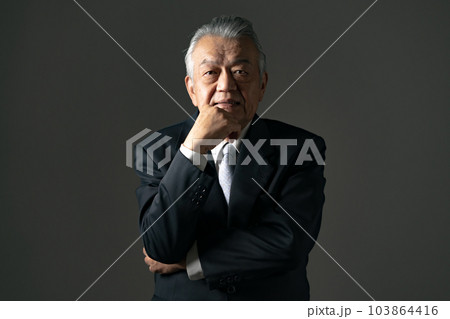 ビジネスマン シニア 社長 ビジネスマン シニア 社長 103864416