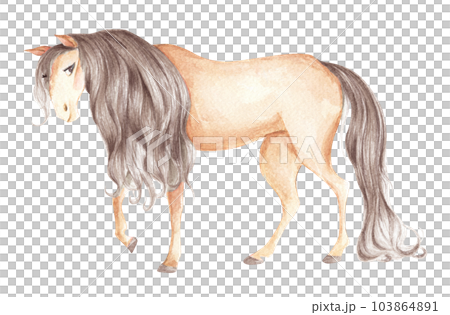 Watercolor painting of horse. Animal illustration. Watercolor painting of horse. Animal illustration. 103864891