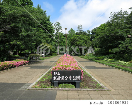都立武蔵国分寺公園(泉・南東口) 都立武蔵国分寺公園(泉・南東口) 103864935