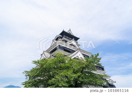 天守閣（熊本城） 103865116