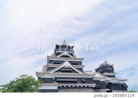 天守閣（熊本城） 103865119