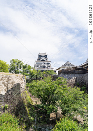 天守閣（熊本城） 103865123
