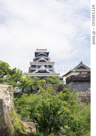 天守閣（熊本城） 103865126