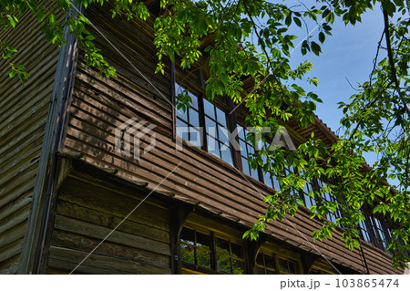 ひっそりと佇む廃校舎 103865474