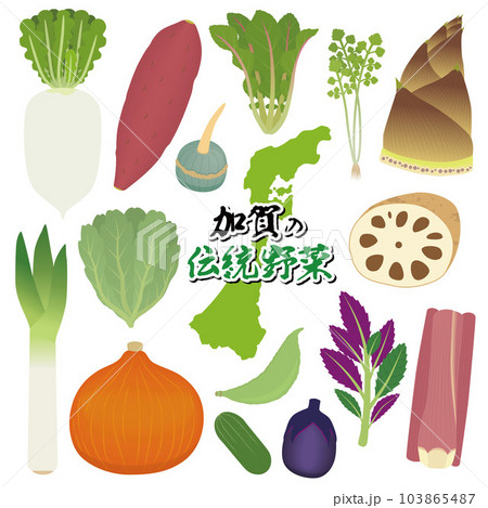 加賀野菜のイラスト 103865487