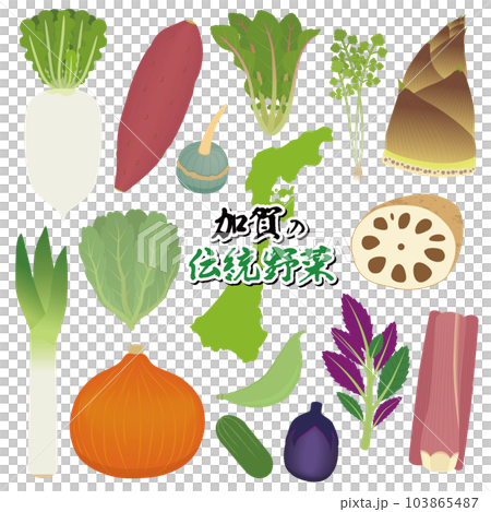 加賀蔬菜的插圖 103865487
